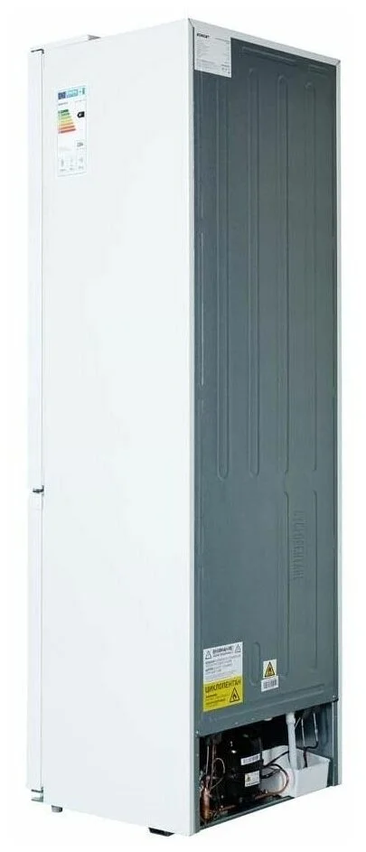 Купить Холодильник ZARGET ZRB298MF1IM (298 INOX)